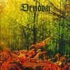 Download track The First Snow