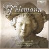 Download track Partita No. 5 In E Minor For Recorder And B. C., TWV 41: E1 - VII. Presto