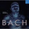 Download track 01. Gleichwie Der Regen Und Schnee Vom Himmel Fällt, BWV 18 Sinfonia