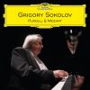 Download track 24 Preludes, Op. 28 No. 15 In D-Flat Major Raindrop Prelude (Live)