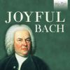 Download track Concerto For 3 Violins, Strings & B. C. In D Major, BWV 1064: I. Allegro