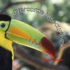 Download track Neither Comparatively