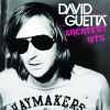 Download track Who'S That Chick