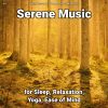 Download track Beautiful Sound