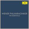 Download track Hungarian Dance No. 18 In D Major, WoO 1