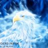 Download track Drift