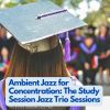 Download track Study Session Soundscapes: Ambient Jazz Trio