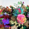 Download track You Don't Need A Weatherman