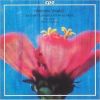 Download track 05. Concerto 'con Violini D'accordatura Diversa' In A Major, RV 343 - (Largo)