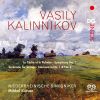Download track Symphony No. 1 In G Minor: I. Allegro Moderato