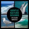 Download track Natural Sleep Aid
