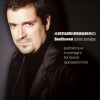 Download track 03 - Piano Sonata No. 8 In C Minor Pathetique, Op. 13 - III. Rondo (Allegro)