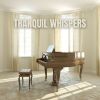 Download track Serene Countryside