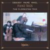 Download track 02 - Piano Trio In D Minor, Op. 120 - II. Andantino