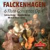 Download track Flute Concerto In G Major, Op. 4 No. 4: IV. Poco Allegro. Variazioni (Remastered 2024)