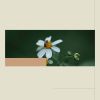 Download track Background For Mental Exercises