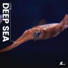 Download track Calming Ocean Sounds, Pt. 6