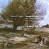 Download track 10. String Quartet No. 29 In G Major Op. 335 H. 341: 2. Largo E Cantabile
