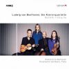 Download track Piano Quartet In E-Flat Major, Op. 16a- III. Rondo. Allegro, Ma Non Troppo