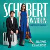 Download track Schubert: Introduction And Variations (