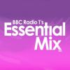 Download track Let The Beat Control Your Body