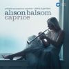 Download track 15 - Violin Concerto In A Minor BWV 1041 - II. Andante