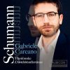 Download track Davidsbünderltänze, Op. 6: III. Mit Humor In G Major