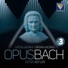 Download track 14. Peter Kofler - Organ Concerto In A Minor, BWV 593 III. Allegro