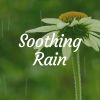 Download track Fast-Paced Rain