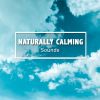 Download track Binaural Relaxation