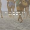 Download track Guitar Concerto In D Major