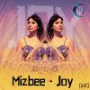 Download track Joy (Original Mix)