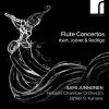 Download track Concerto For Flute And String Orchestra- I. Andante Cantabile – Allegro Scherzando