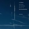 Download track Cello Suite No. 6 In D Major, BWV 1012 - Transcr. For Viola: J. S. Bach: Cello Suite No. 6 In D Major, BWV 1012 - Transcr. For Viola - 2. Allemande