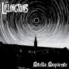 Download track The Lillingtons-Villagers-1fba8387