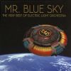 Download track Mr. Blue Sky