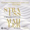 Download track Eine Alpensinfonie, Op. 64: No. 18, Stille Vor Dem Sturm