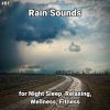 Download track Rain Sounds For Learning