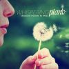 Download track I Giardini Di Vienna In A Major - For Piano