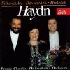 Download track Violin Concerto In C Major, Hob. VIIa: 1: II. Adagio