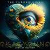 Download track Day For Peace