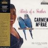Download track When The Swallows Come Back To Capistrano