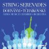 Download track Serenade For Strings In C Major, Op. 48, TH 48- IV. Finale. Andante - Allegro Con Spirito