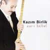 Download track Yeşil Başlı Gövel Ördek