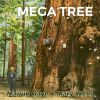 Download track Once Upon A Time
