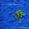 Download track Levitation (Img 02 Reshape)