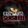 Download track Crazy