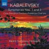 Download track 03. Symphony No. 1 In C-Sharp Minor, Op. 18 II. Allegro Molto Agitato