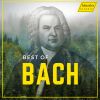 Download track Violin Concerto No. 1 In A Minor, BWV 1041 I. Allegro Moderato