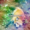 Download track Dream Lullaby